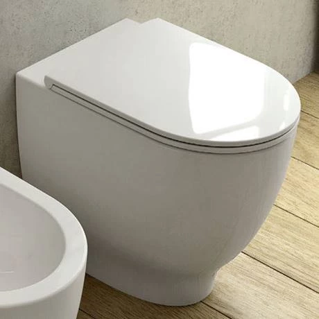 RAK Harmony Back to Wall Pan + Soft Close Urea Seat - Image 2