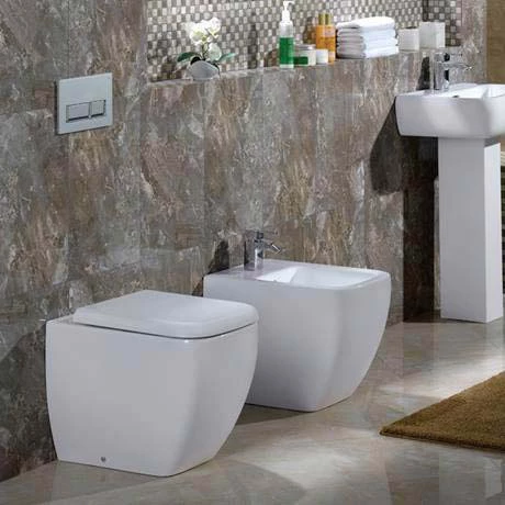 RAK Metropolitan Back to Wall Pan + Soft Close Urea Seat - Image 2