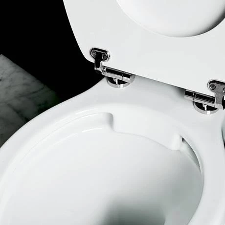 Burlington Rimless Close Coupled WC with 520mm Front Push Button Cistern - Image 4