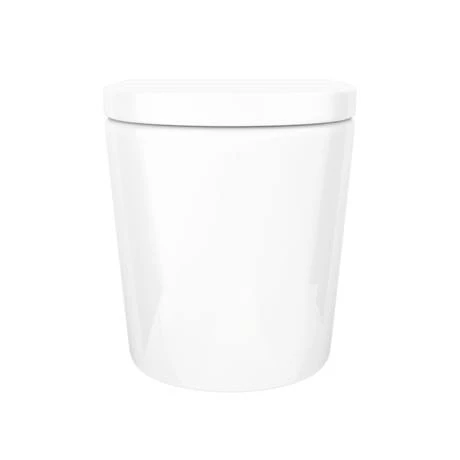 Solace Back to Wall Toilet with Soft Close Seat + Concealed Cistern - Image 3