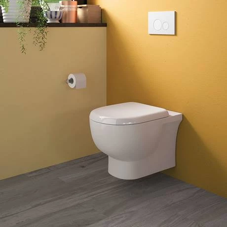RAK Tonique Wall Hung Rimless Pan + Quick Release Soft Close Seat - Image 4
